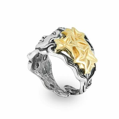 Anello Mese Dicembre - Gerardo Sacco