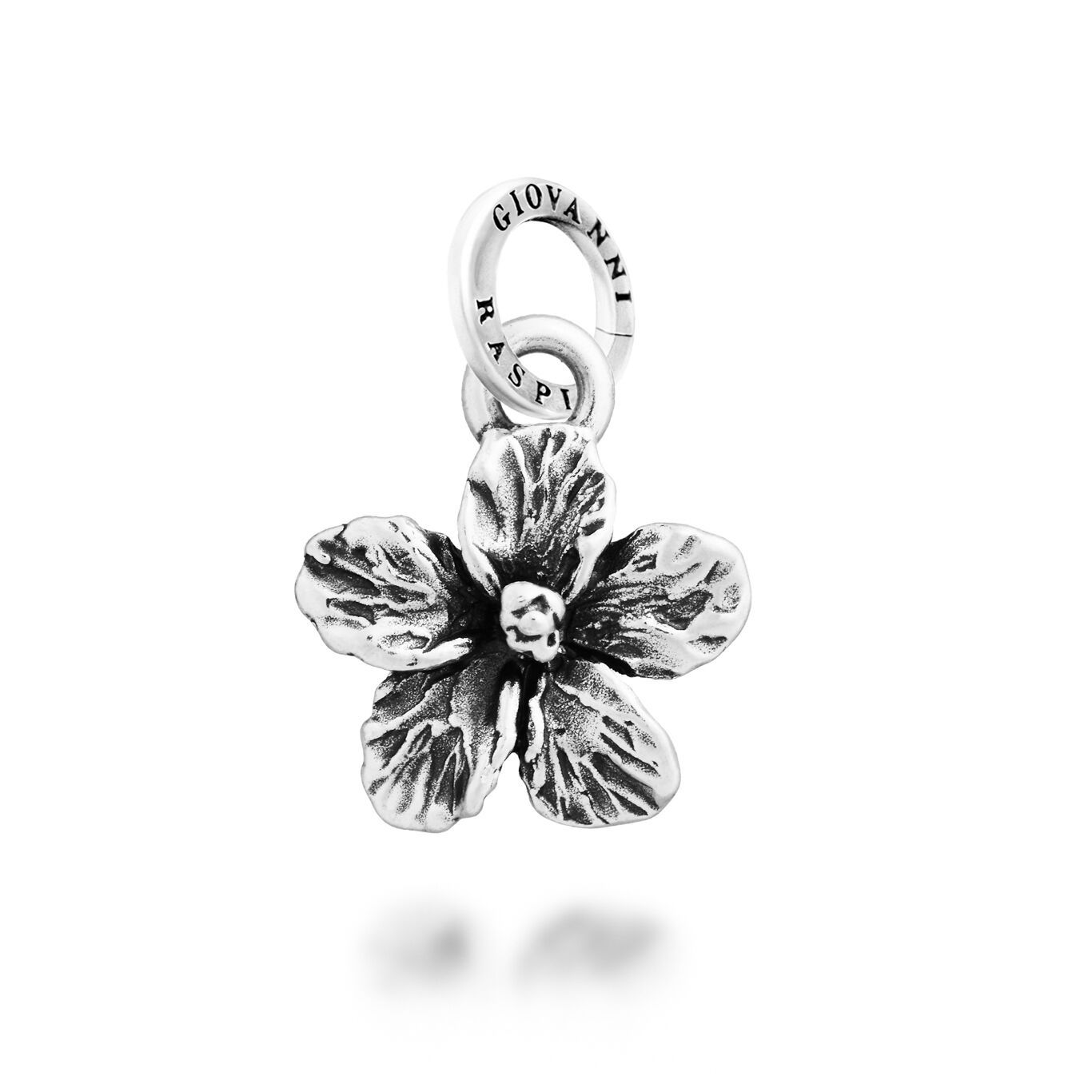 charm ibisco charm ibisco