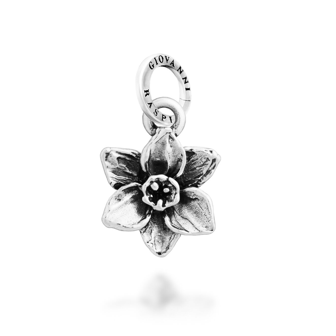 charm narciso piccolo charm narciso piccolo