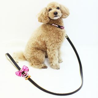 Crystal Ball Leash