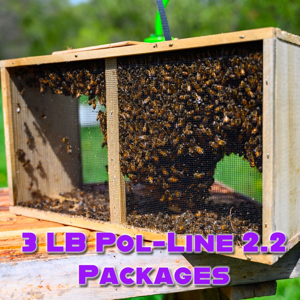 3lb bee packages for Sale - Mite Resistant Pol-Line 2.2