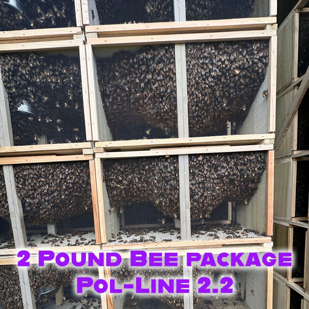 2027- 2lb Honey Bee Packages - Pol-line 2.2 Mite Resistance