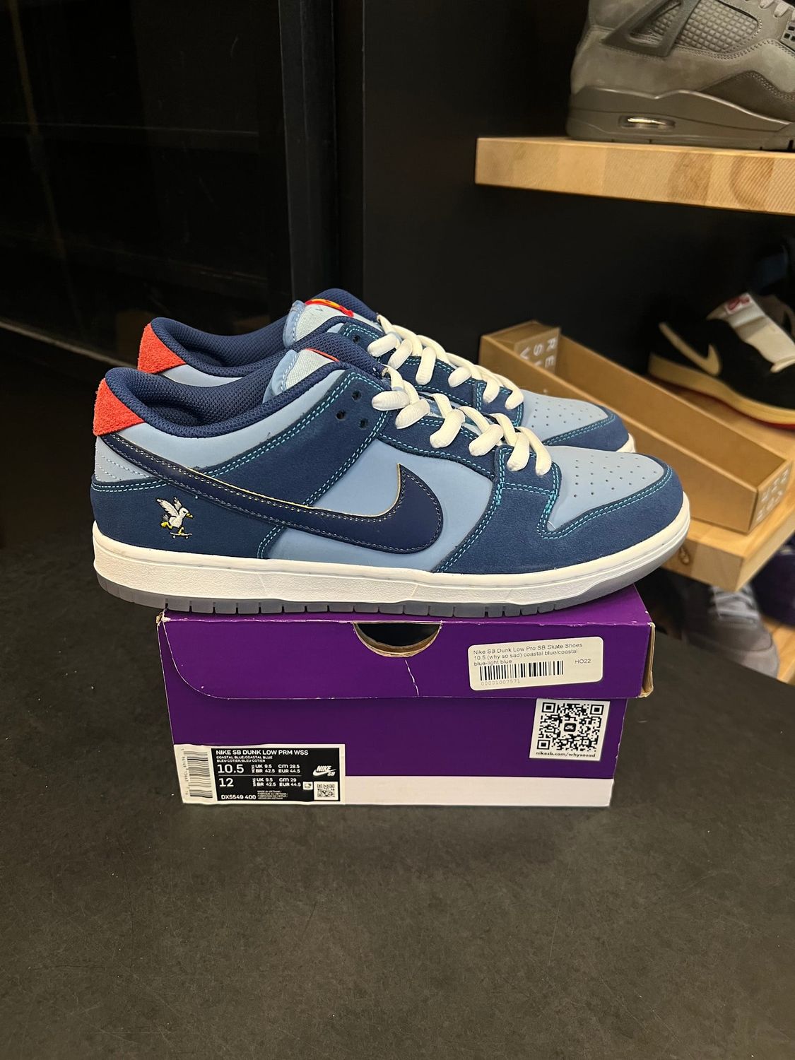 Nike SB Dunk Low Pro Why So Sad? Size 10.5, PREOWNED