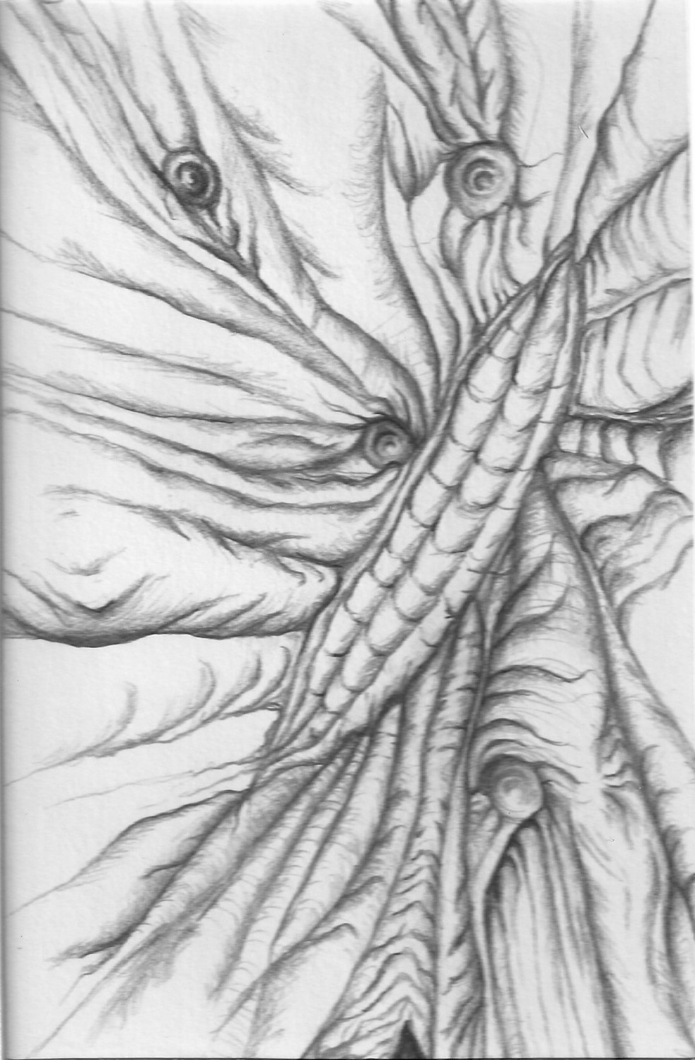 Old Corn