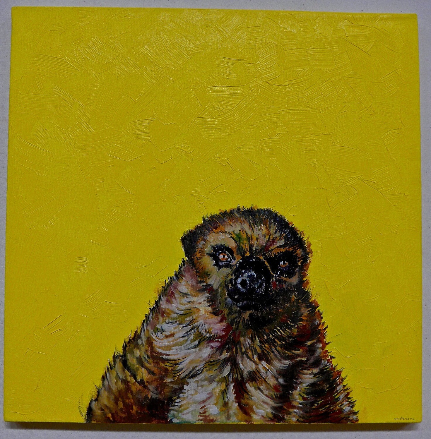 &quot;Steve the Two-Toed Sloth&quot;