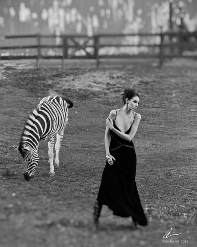Model &amp; Zebra