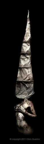The Sentinel I