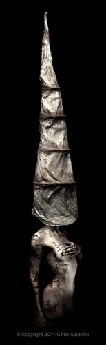 The Sentinel II