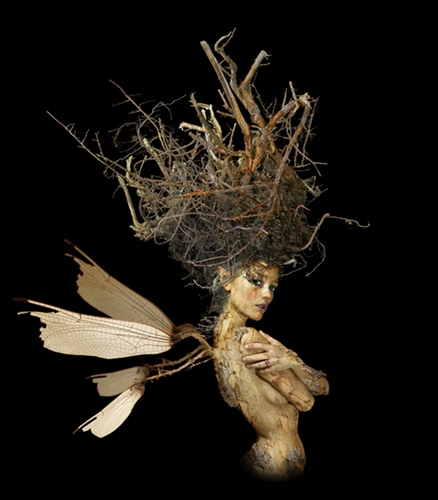 The Root Fairy