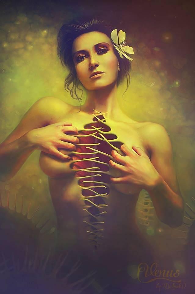 &quot;Venus&quot;