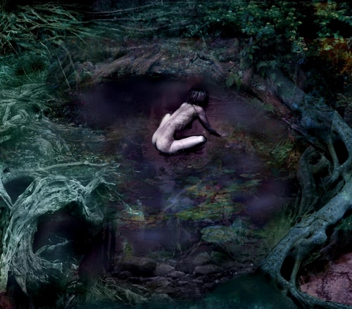 &quot;The Pond&quot;