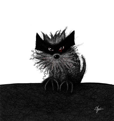 Raccoon