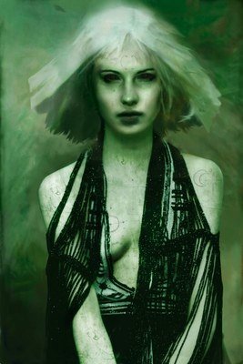 Exclusive Artist Christopher Shy