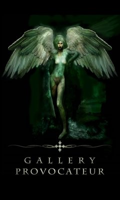 Gallery Provocateur Gear