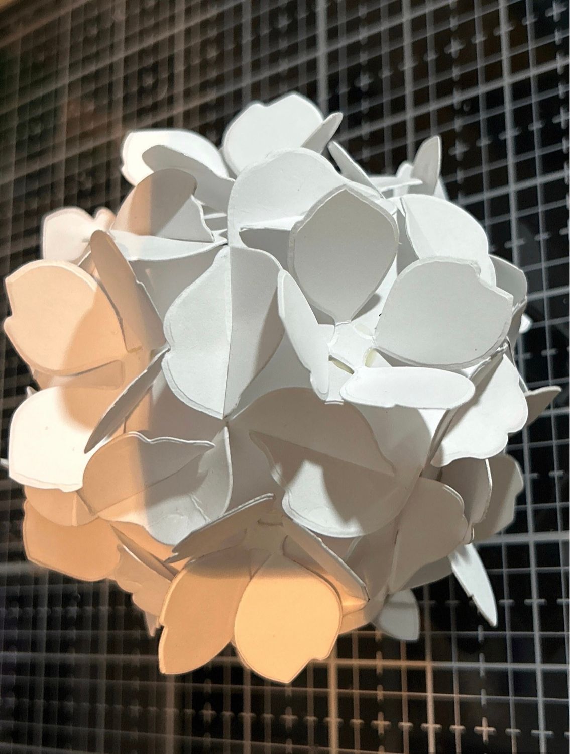 DIY hydrangea Kit