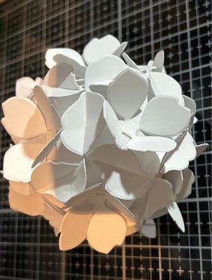 DIY hydrangea Kit