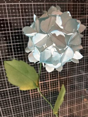 DIY hydrangea Kit