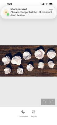 DIY Paper Roses Kit
