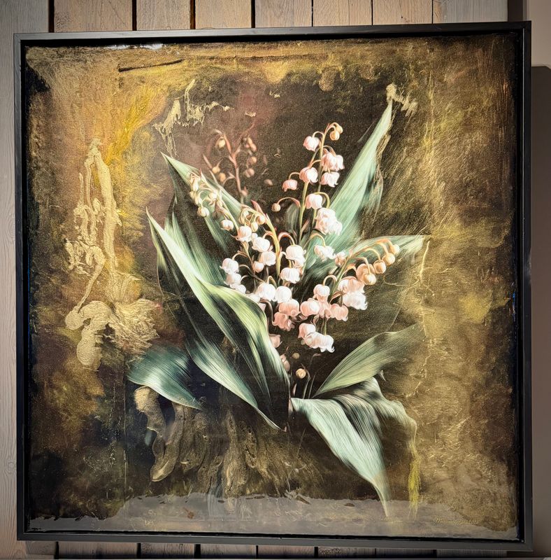 Golden Lily 83 x 83