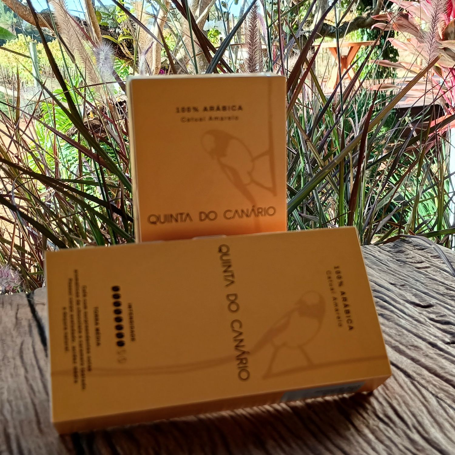 Catuaí Amarelo Coffee – Nespresso®-Compatible Capsules (10)
