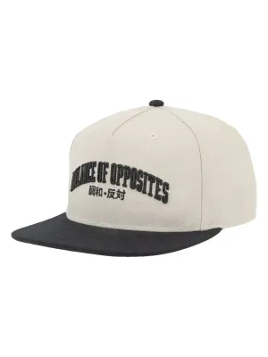RVCA Foreign Snapback in Natural, alternate view 1