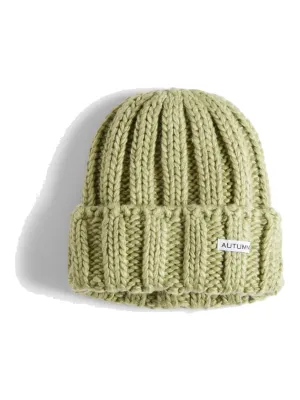 Autumn Rosemary Beanie in Sage, main view