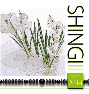 Shingi forår 2014 - e-bog