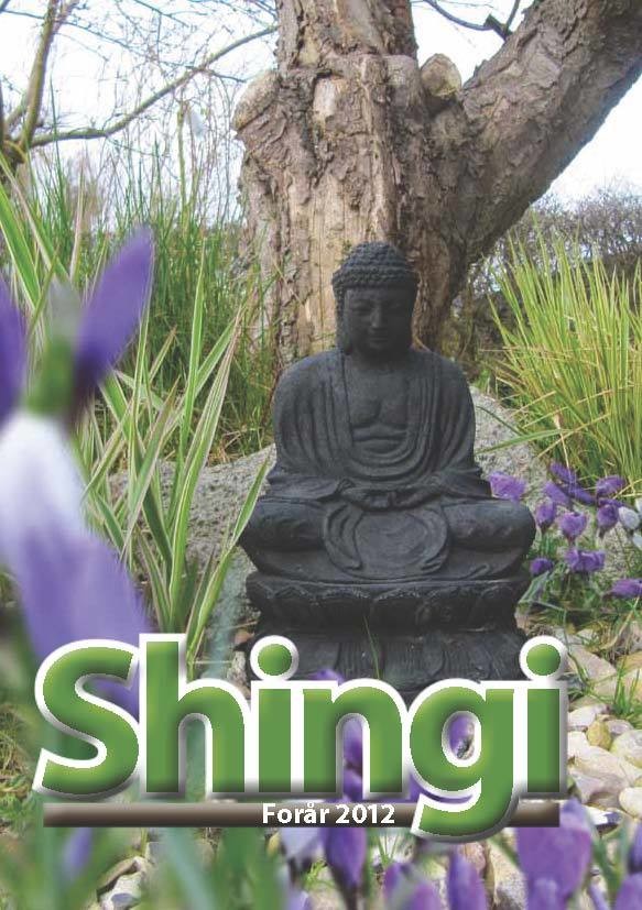 Shingi forår 2012 - e-bog