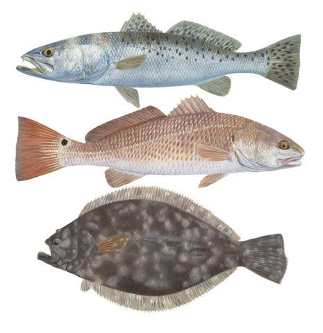 CORPORATE GRAND CHAMPION