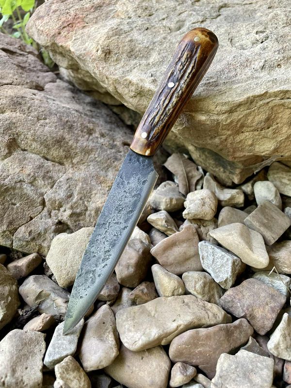 Small Antler Handled Drop Point Knife #1