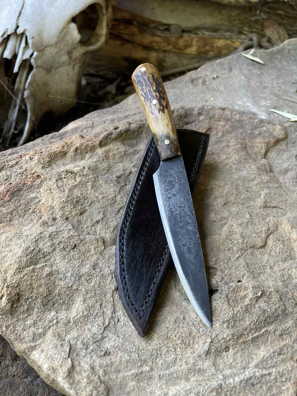 Small Drop Point Knife With Antler Handle #2