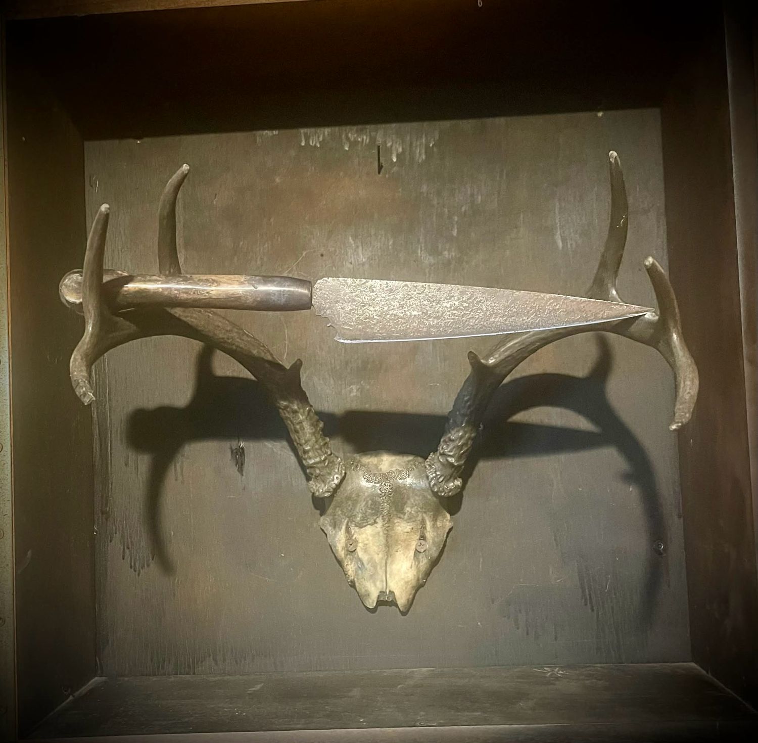 Jason Hawk Made- Shadow Land Series Knife