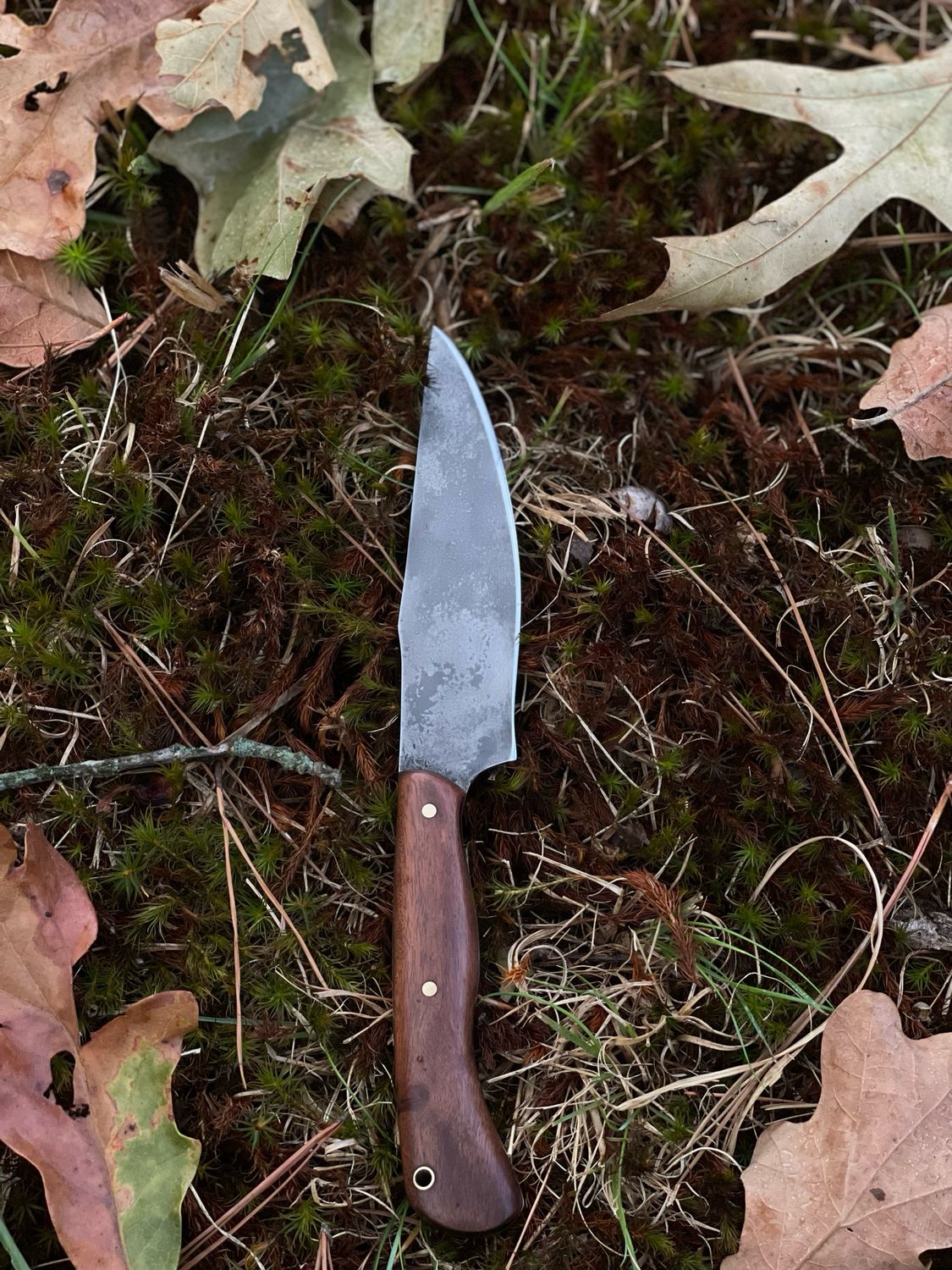 Ozark Scout