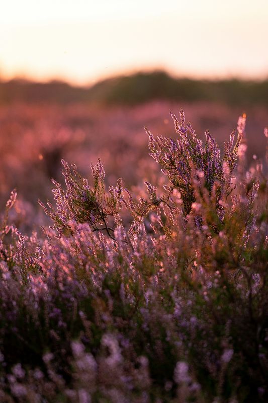 2024 09 YPSO Fellowship, Msg 2 (JK)-Korean 2024 09 YPSO Fellowship, Msg 2 (JK)-Korean