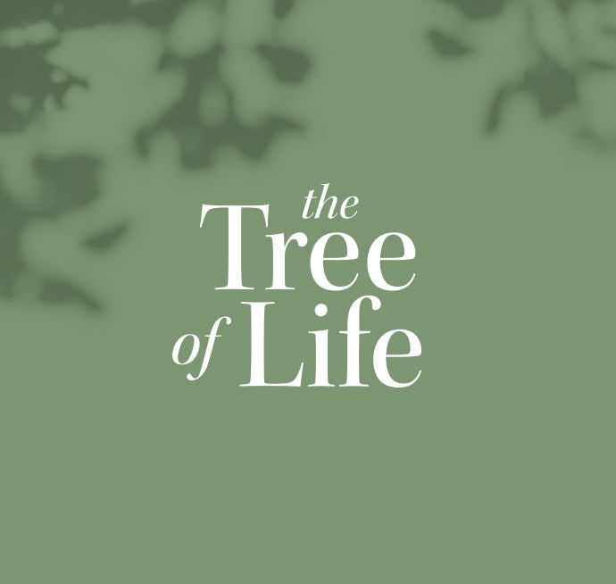 2022-10 HSS, The Tree of Life, Special Fellowship (JK) 2022-10 HSS, The Tree of Life, Special Fellowship (JK)