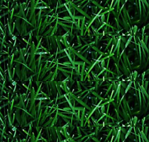 2021 11 Children's Work Conference, Msg 2 (CB)