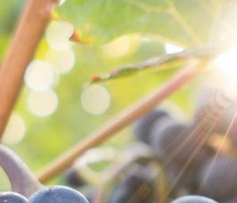 2022 09 YPSO Fellowship, Msg 2 (DB, RM)