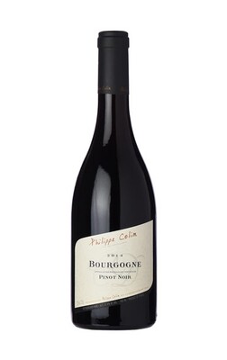 Domaine Philippe Colin Bourgogne Pinot Noir 2020