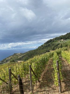 Ligurië