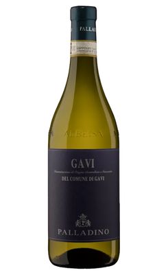 Palladino Gavi di Gavi 2024 Palladino Gavi di Gavi 2024