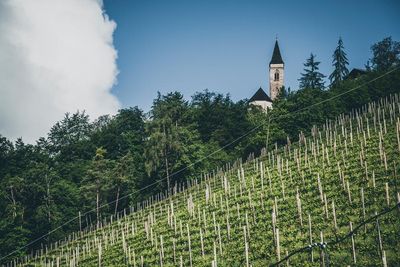 Trentino-Alto Adige