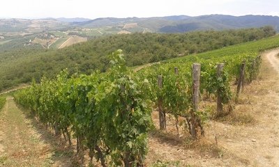 Toscane