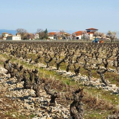 Rioja