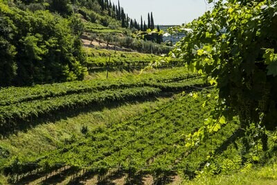 Veneto