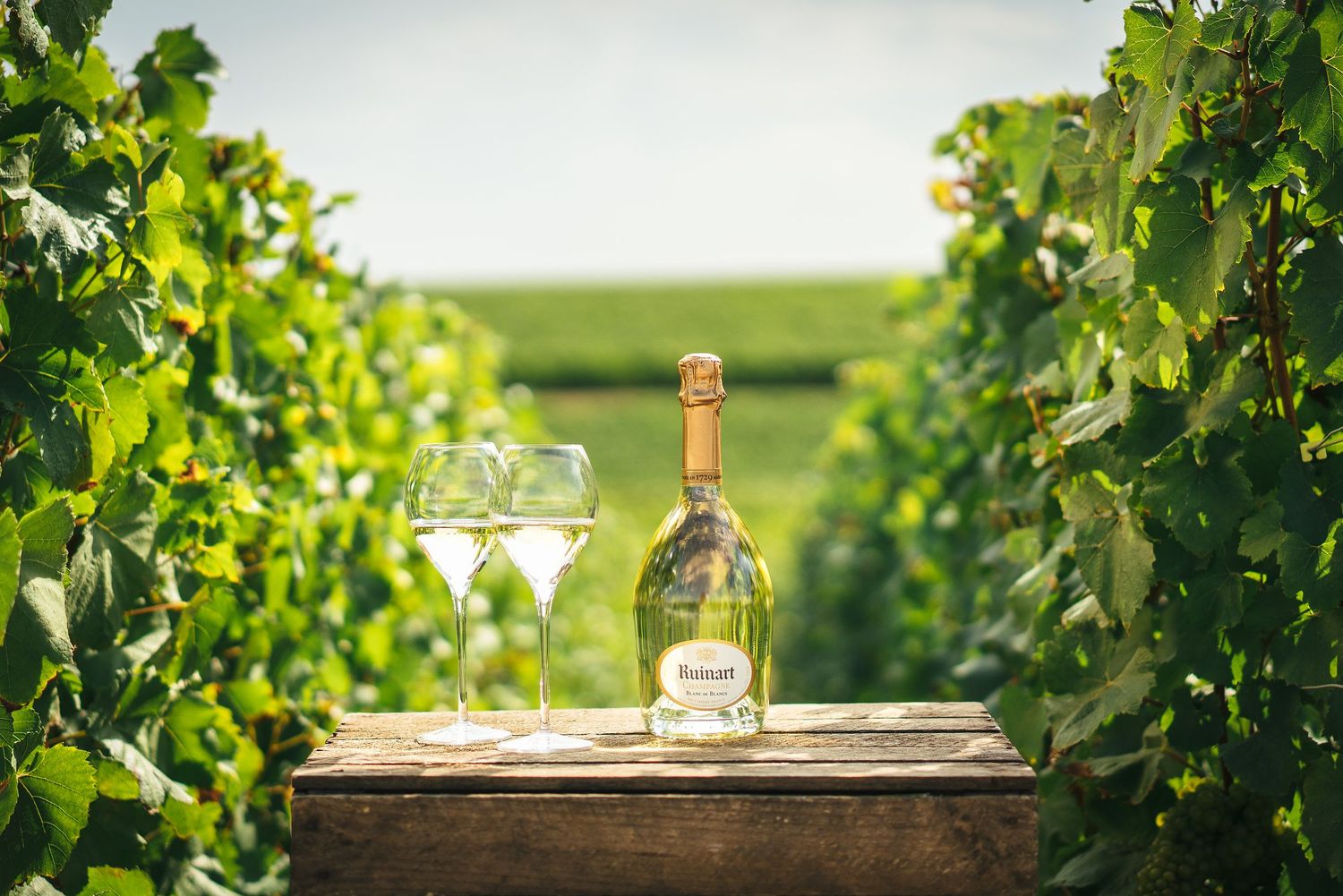 Ruinart  Blanc de Blancs 75 cl.