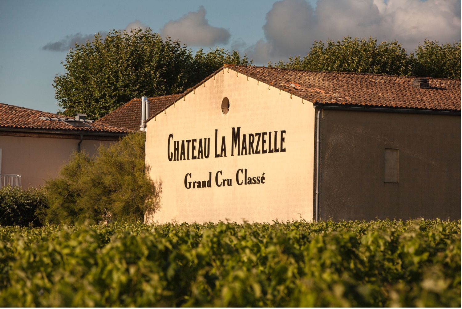 Rosé de  La Marzelle Saint-Emilion Magnum 2025