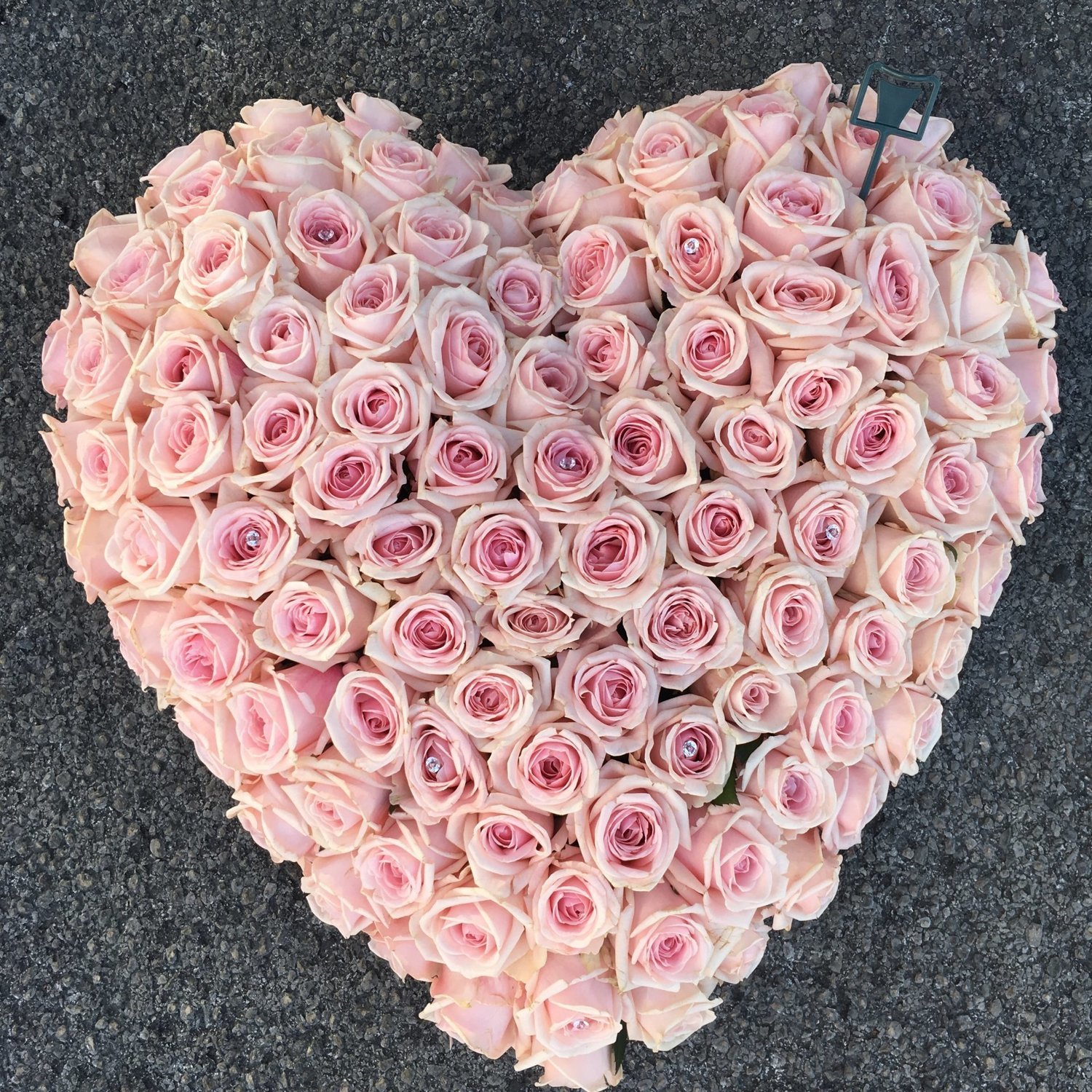 Rose heart
