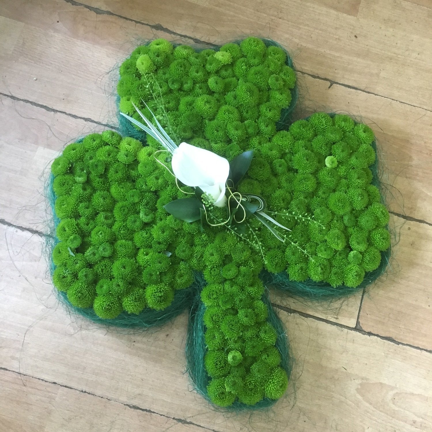 Shamrock