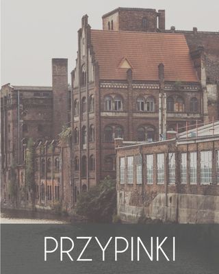 PRZYPINKI