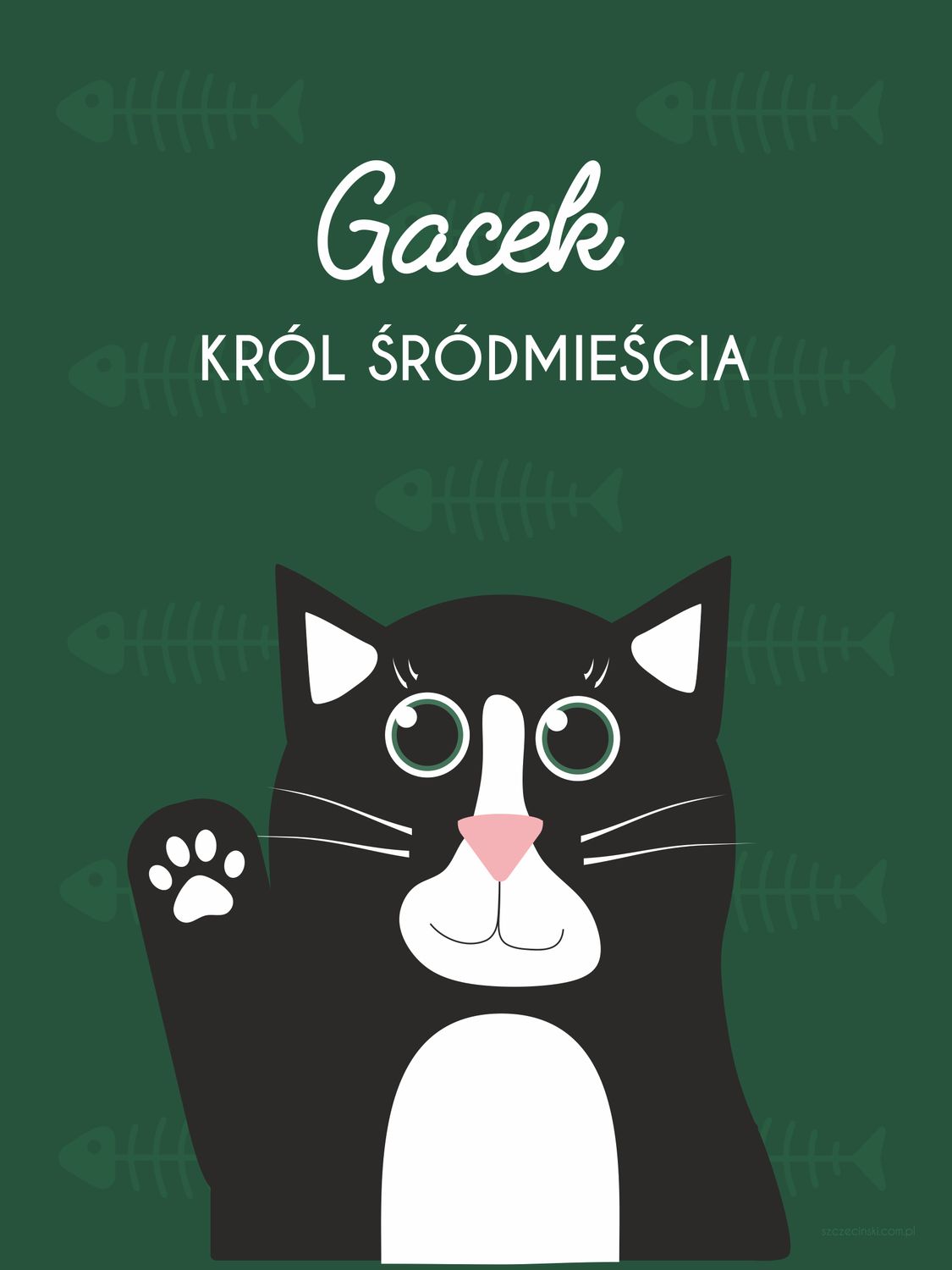 PLAKAT KOT GACEK